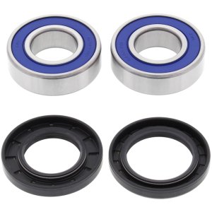 BMW F800R Wheel Bearing Kit - Front - All Balls Racing - ABEC 3 Precision - `05-`10